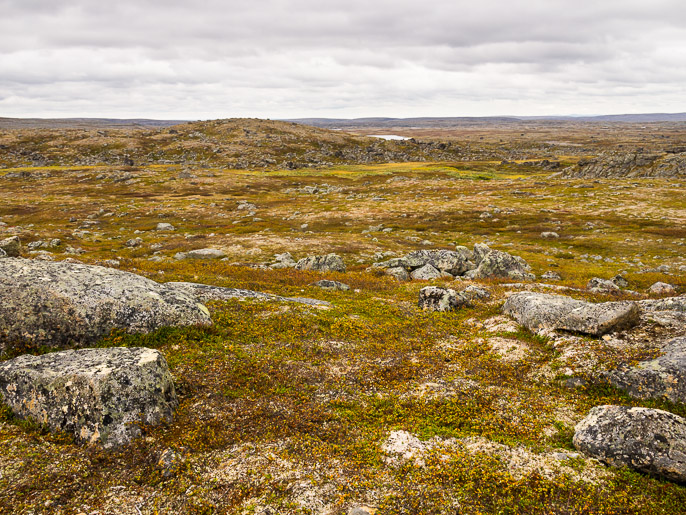 Finnmarkilainen maisema jatkuu, vesistöjä pystyy onneksi käyttämään osoittamaan suuntaa. Uhcaguolban, Norja